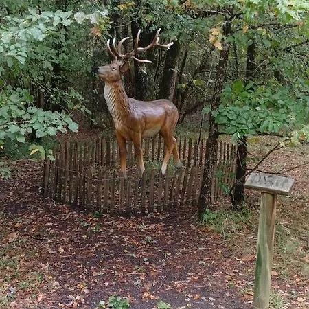 홈스테이 My Tenderness