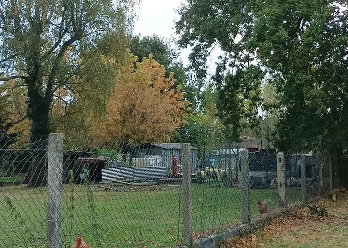 My Tenderness * Montendre