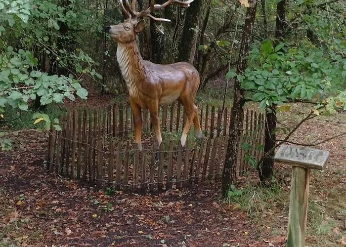 Quarto em Acomodações Particulares My Tenderness